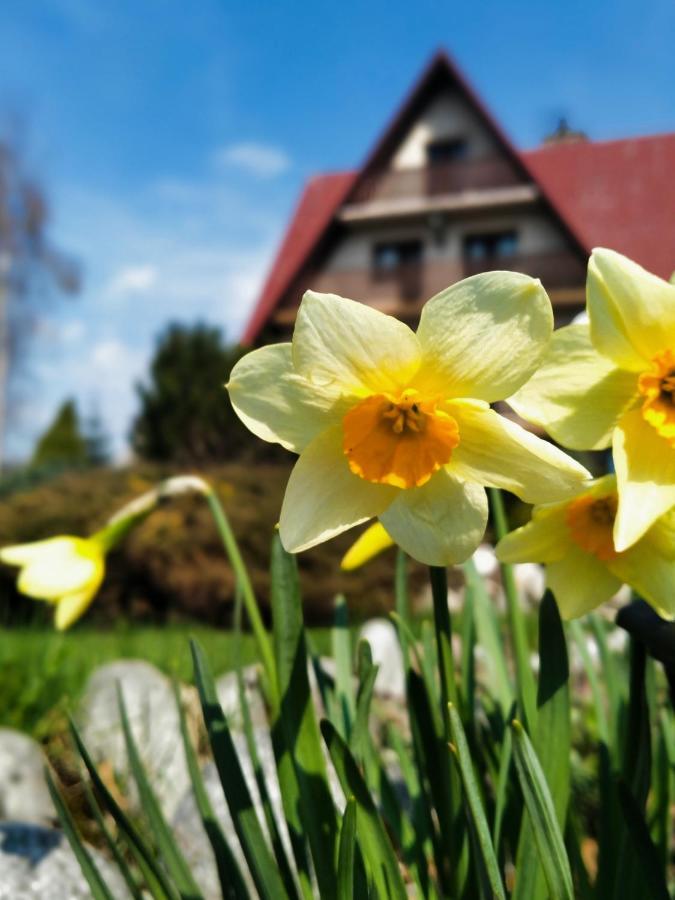 Dom Na Brzyzku Hotel Поронин Екстериор снимка